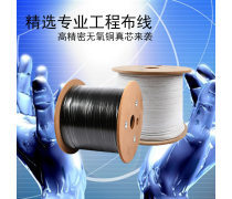 光纖電纜 寬帶時代的神經網絡